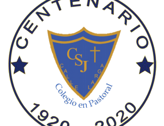 Homenaje a la virgen de la Tirana